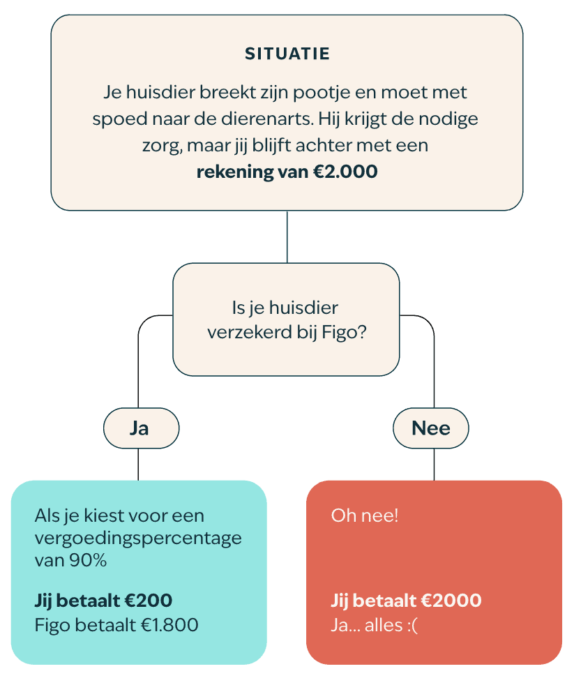 Stroomschema &ndash; NL