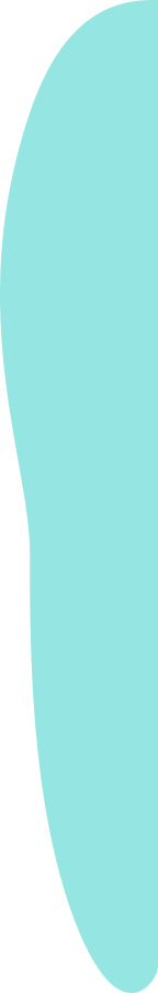 Vector 17 2