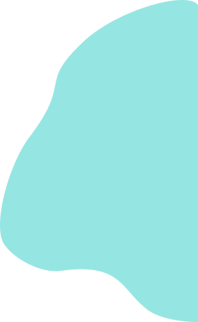 Vector 19 1
