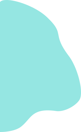 Vector 19 2